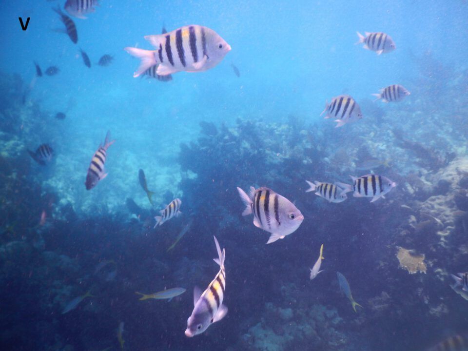 Key Largo Florida
