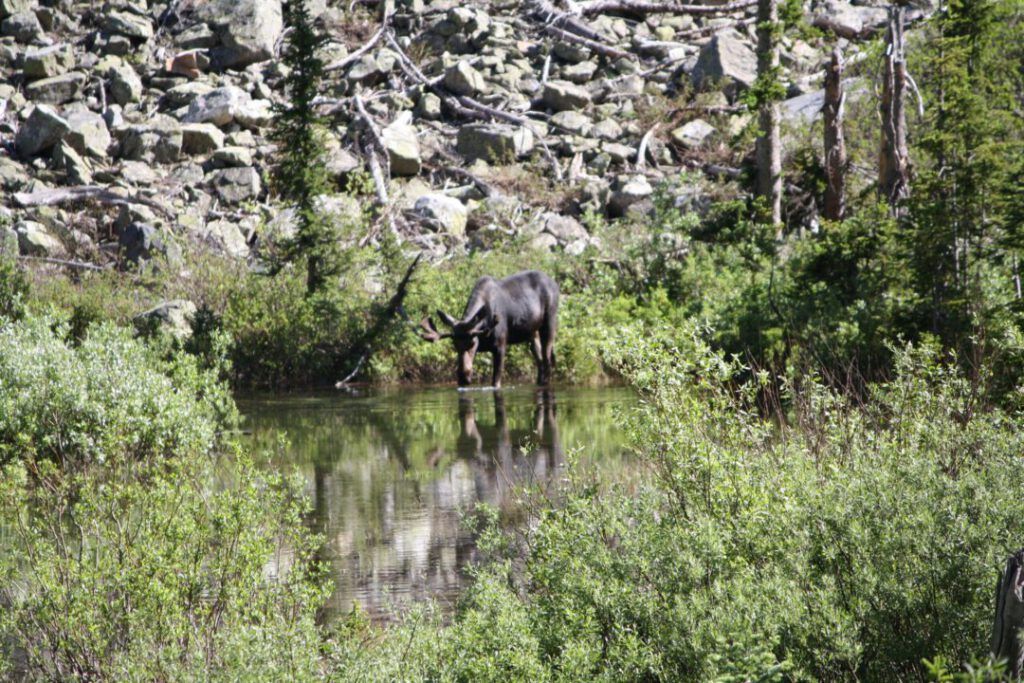 Grand Teton