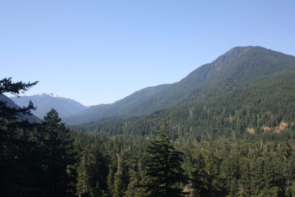 Olympic National Park