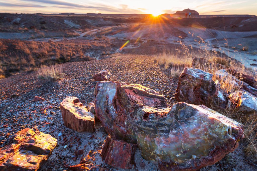 Petrified Forest National Park Arizona