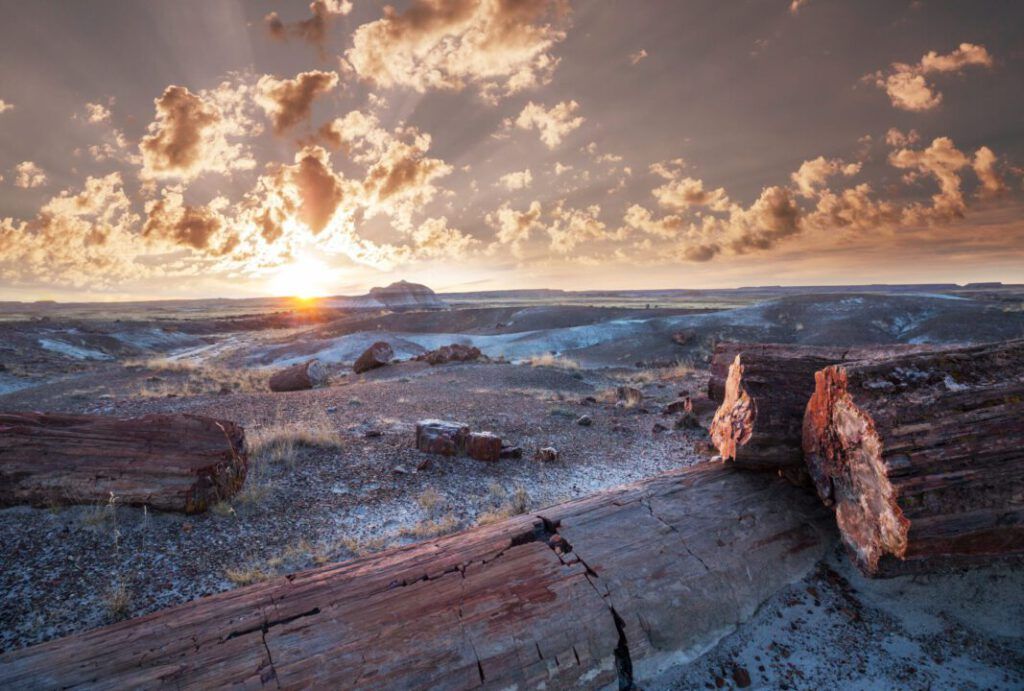 Petrified Forest National Park, Arizona.