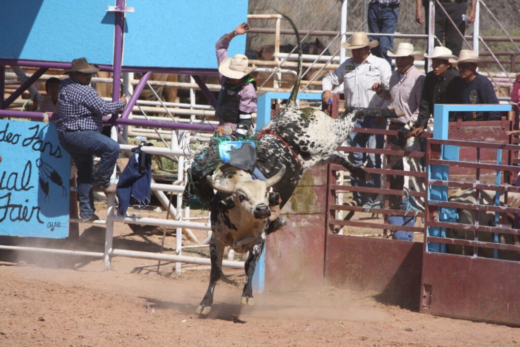 Arizona Indian Rodeo